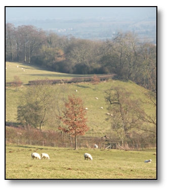 Cotswolds England